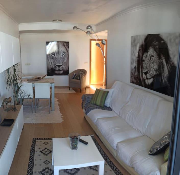 Apartamento Atico En Paiporta Con 2 Grandes Terrazas