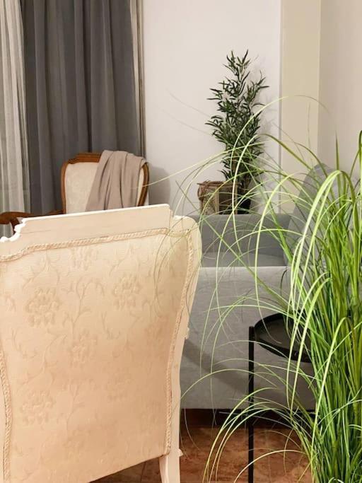 In Spacious Flat In Apartment
