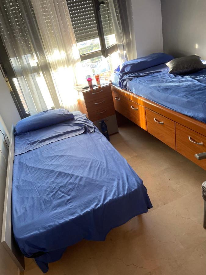 Dama Iberica Homestay Valencia