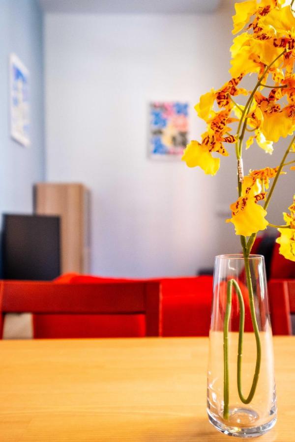 Quality With Homely Decor Apartment