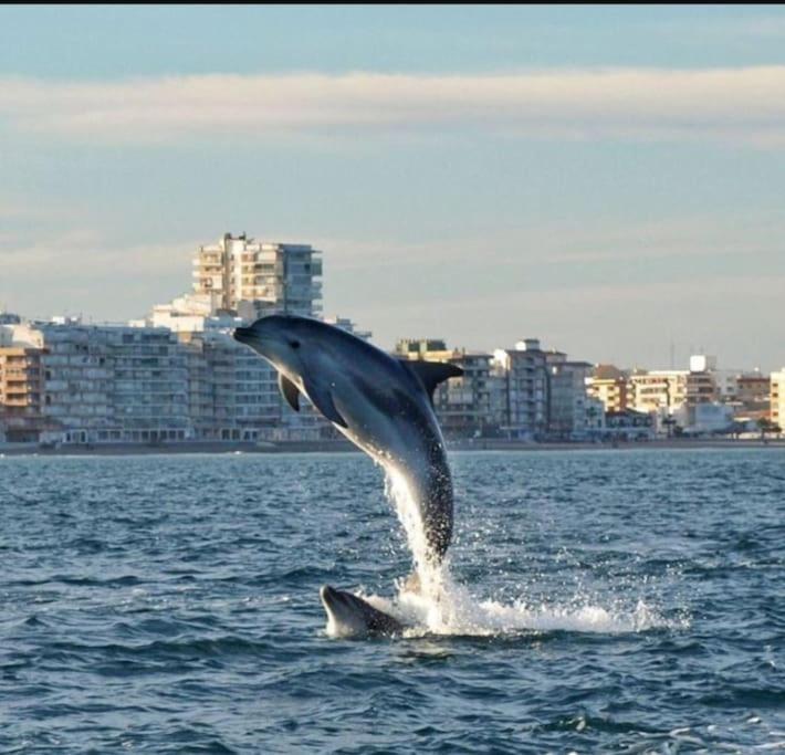 Adosado En La Playa De El Perellonet Con Piscina, Pista Tenis *