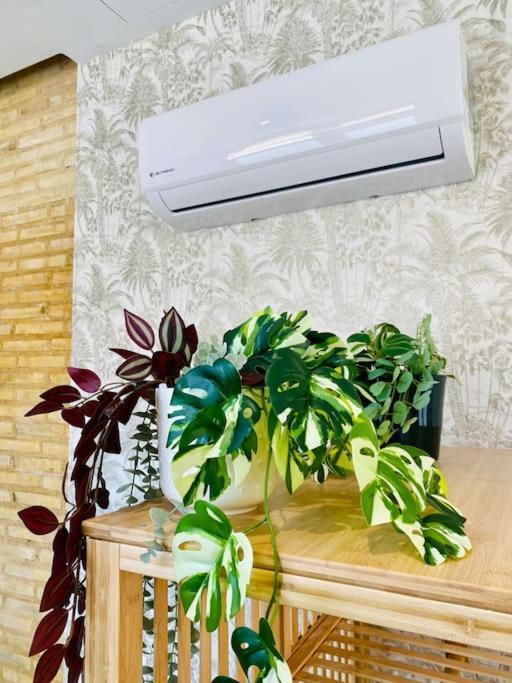 Cabanyal 2 - Small & Stylish By The