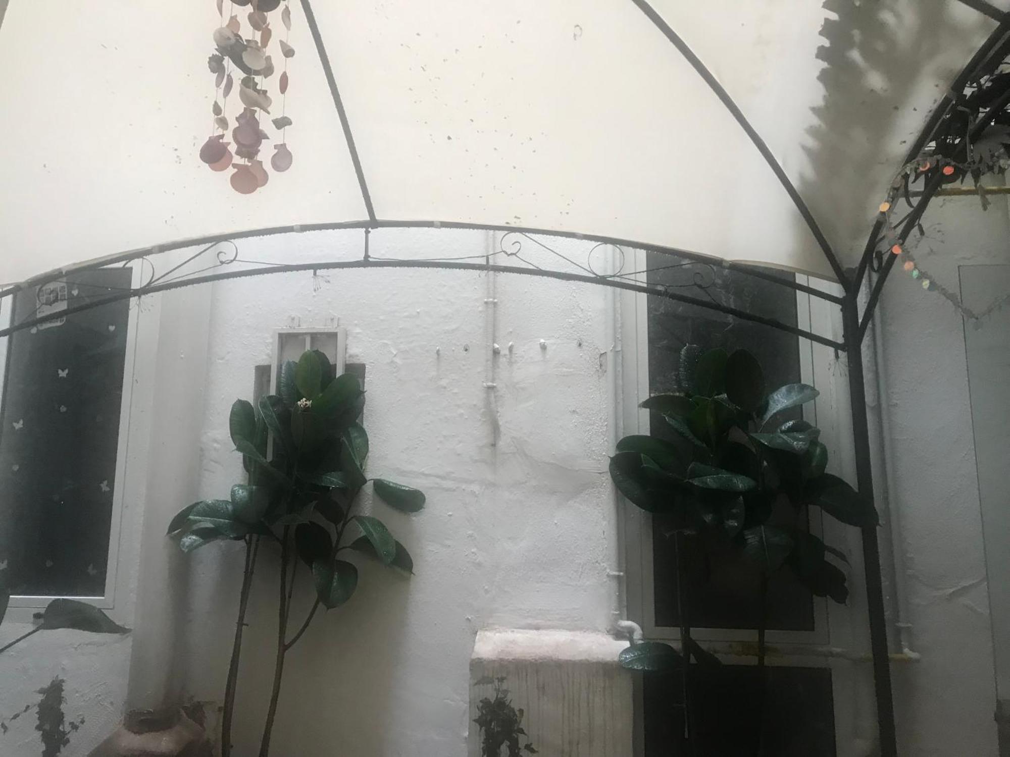 Bed and breakfast Papillon Valencia