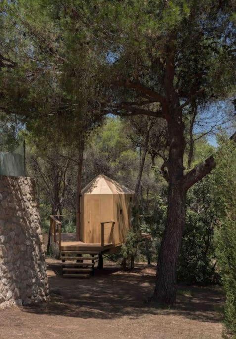 Calma Villa. De Lujo, Jacuzzi Y Piscina Apartamento Valencia