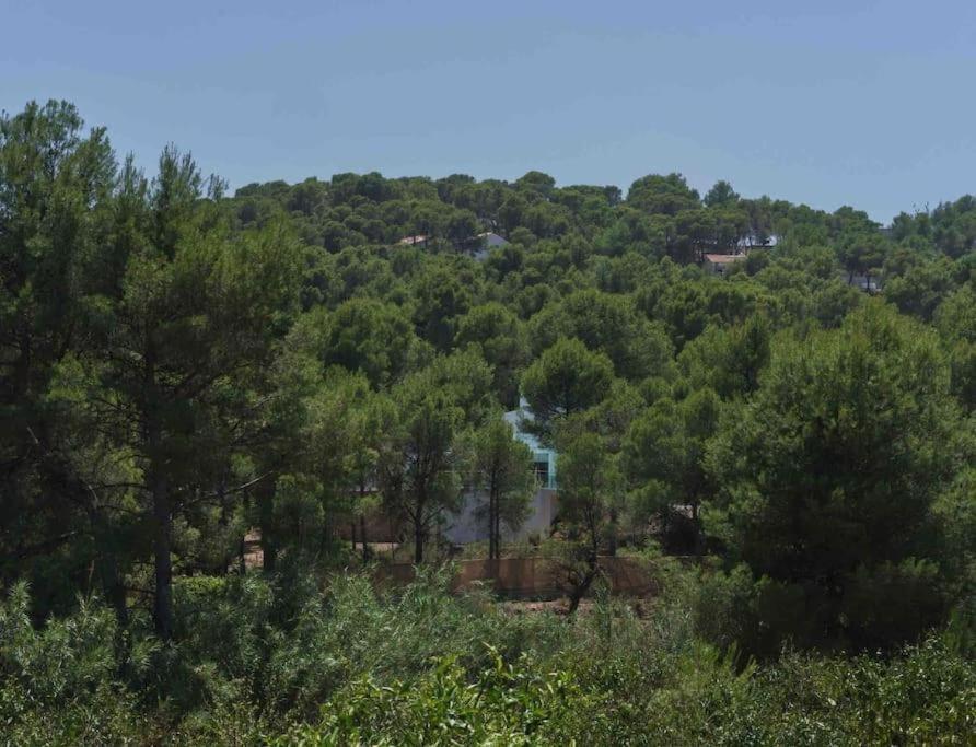 Calma Villa. De Lujo, Jacuzzi Y Piscina Valencia