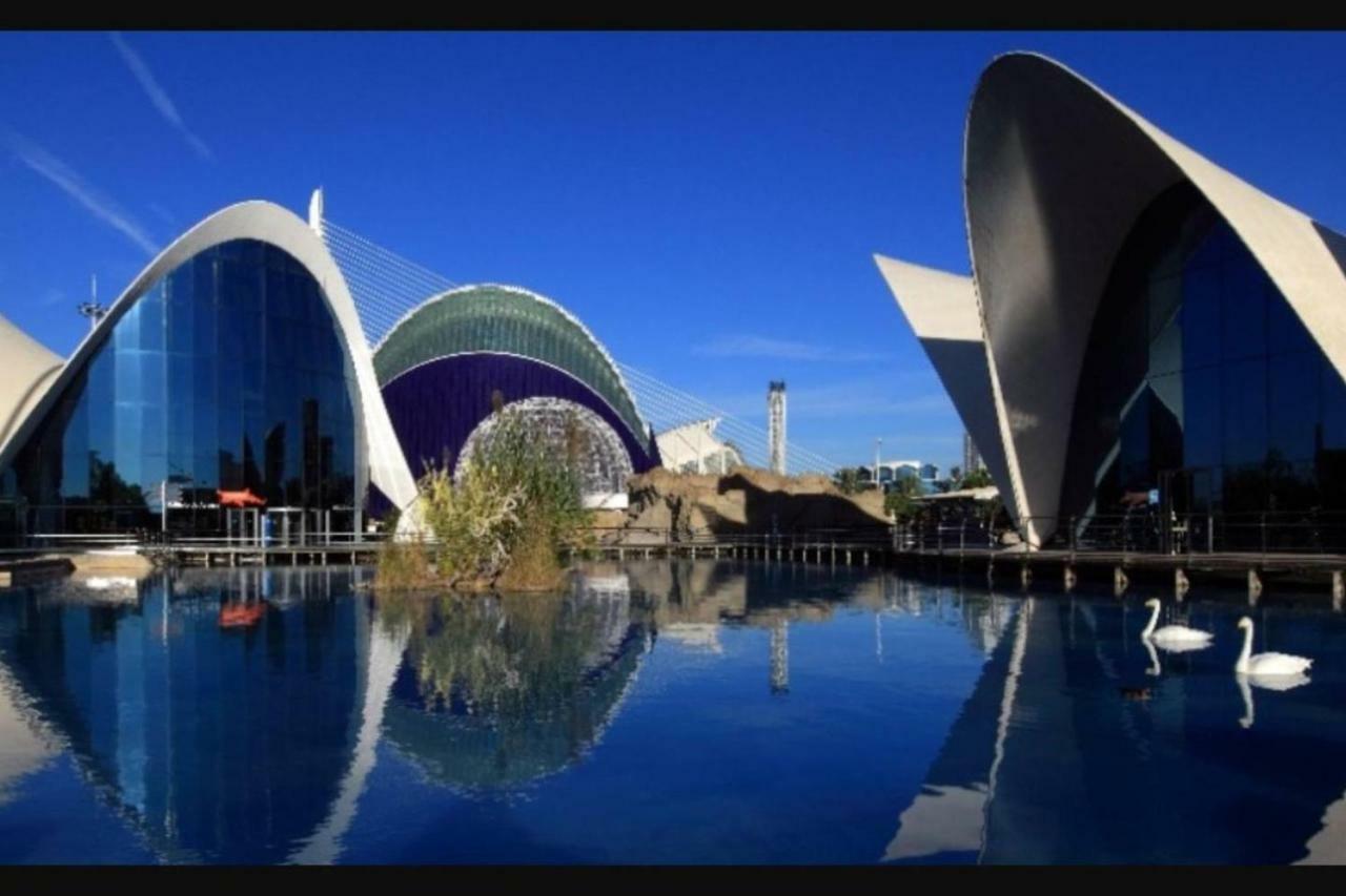 Apartamento En Universidad Y Cerca De La Playa Valencia