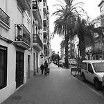 Casa con Palmera - Port