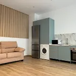 Loft De Diseno Junto A La Dama De Elche