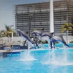 Apartamento Jardin De Ayora