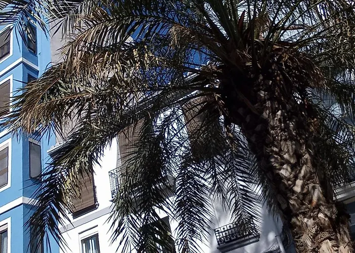 Casa con Palmera - Port