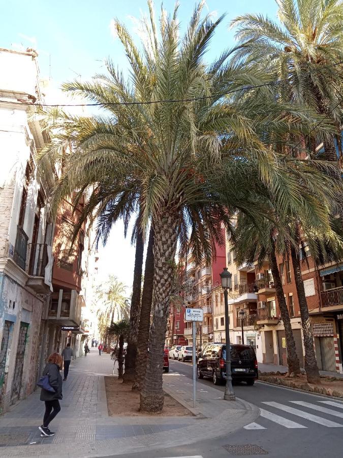 Apartamento Casa Con Palmera - Port *