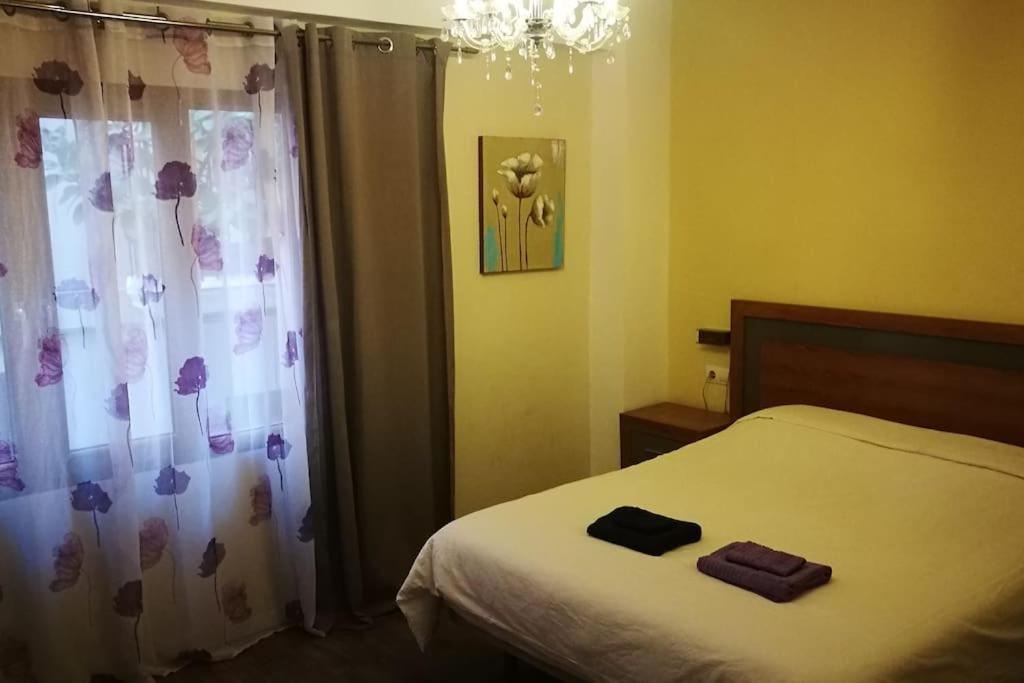 Apartamento Center Where Falla Starts