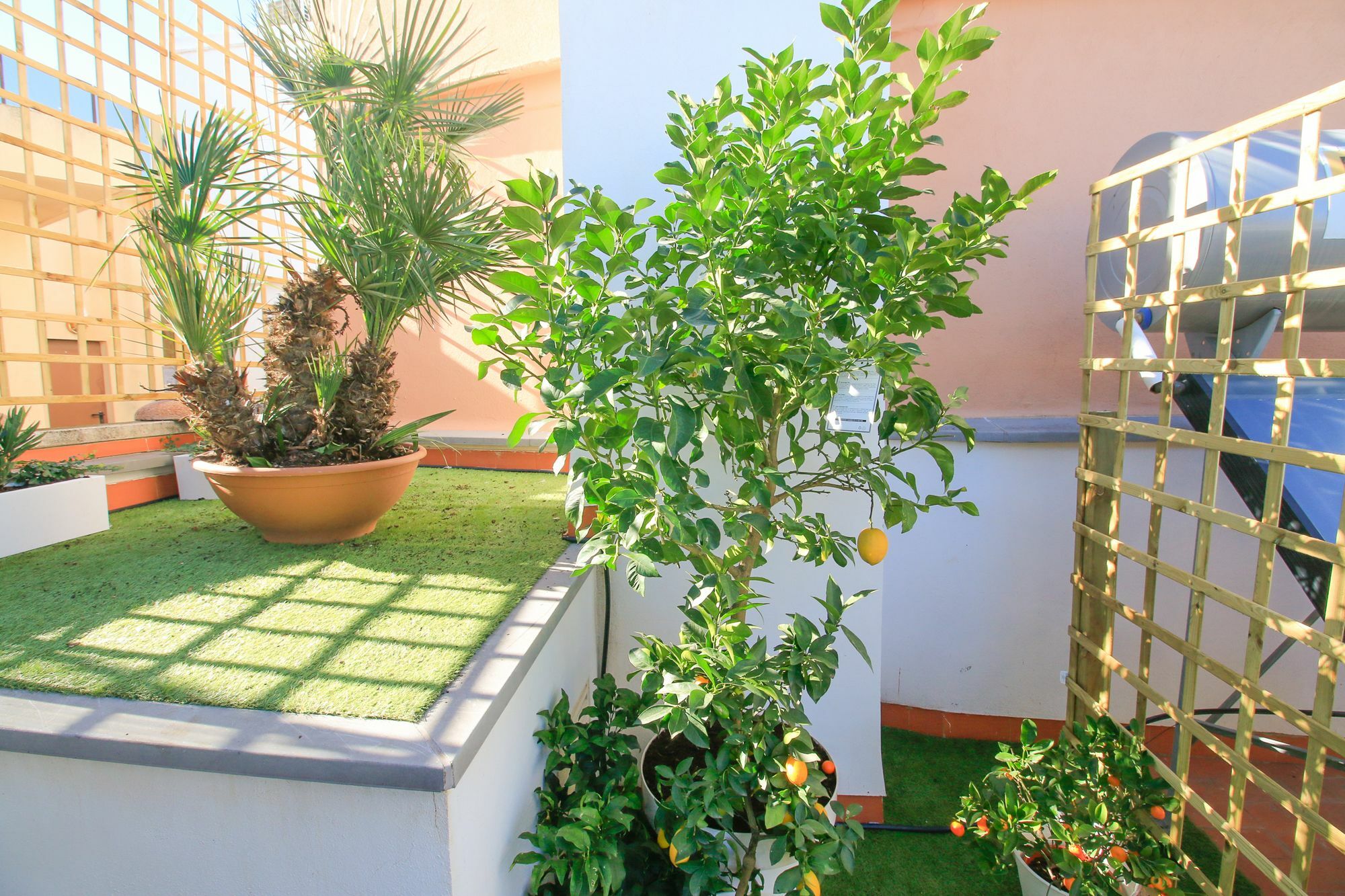 Ecobet Apartment
