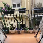 Your Valencia Home