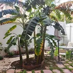 Cozy Apartamento En Ruzafa Para 2-4 Personas Con Aire Acondicionado Y Salida Directa A Terraza