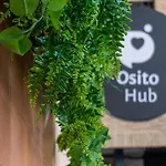 Design & Love Osito Hub A
