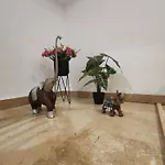 Oasis De Valencia