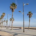 Sapore Di Mare