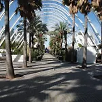 10 Pax, Ac, Wifi Gratis, Ciudad Artes Y Ciencias