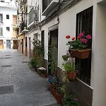 Loft Bajo Vivienda Centro De Valencia-Carmen