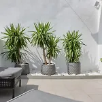Atico Acogedor Con Amplia Terraza Plaza Del Carmen