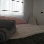 Bolseria Centricos Apartamentos En El Carmen