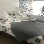 Optimus Comfort