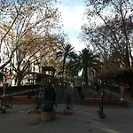 El Católico 56