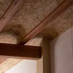 Natural Loft