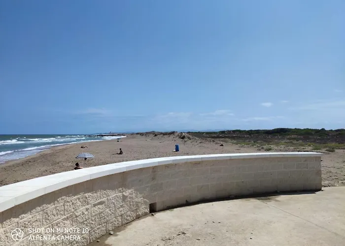 Estrella De Mar