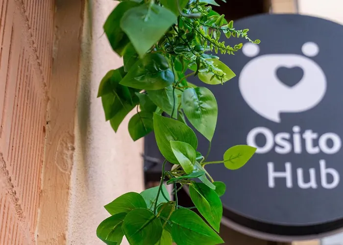 Design & Love Osito Hub E
