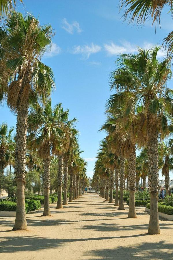 Homestay New In The Valencia