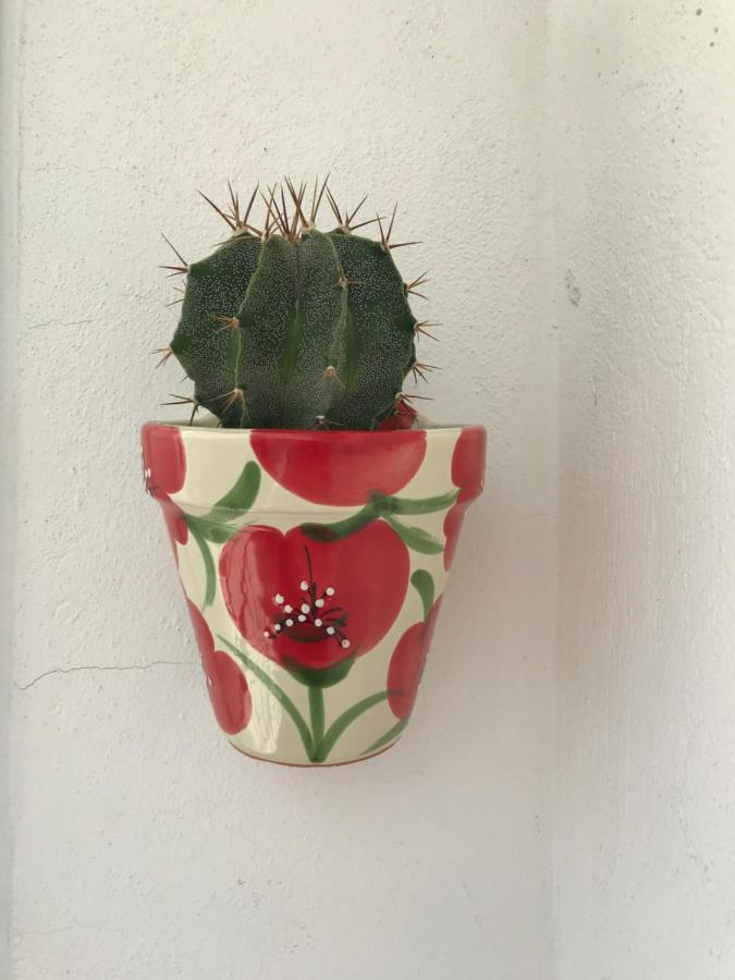 Elsa Apartamento