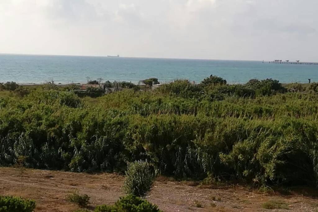 Apartamento Playa Canet Apartamento