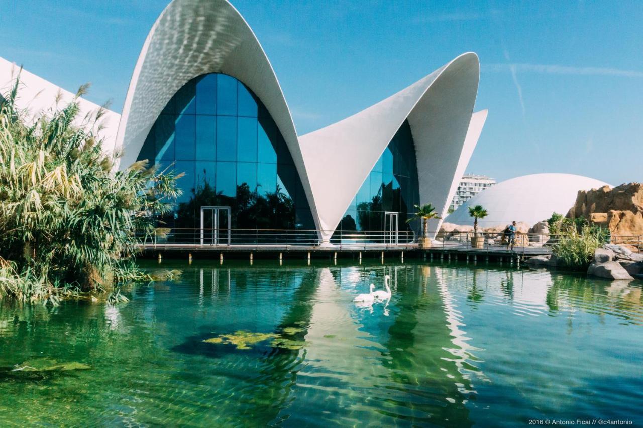 Jl Ciudad De Artes