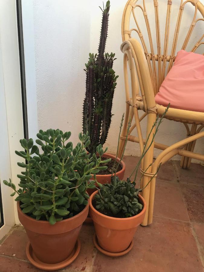 Apartamento Elsa
