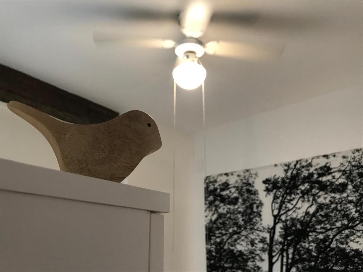 Apartment Elsa *