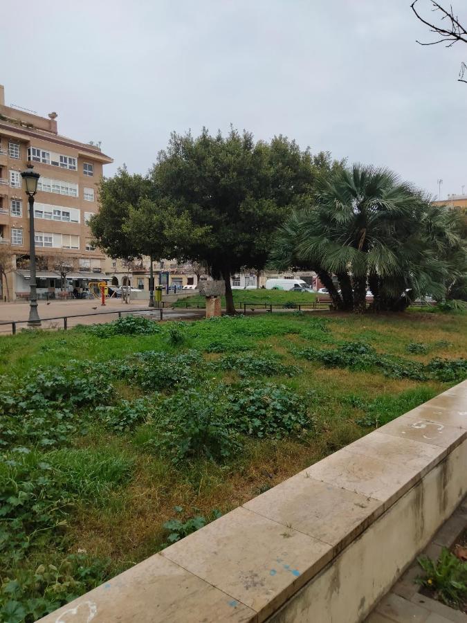 Malvarrosa