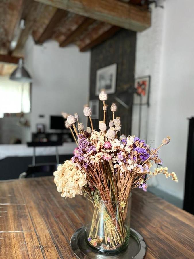 Loft En El Carmen Torres Quart * Valencia