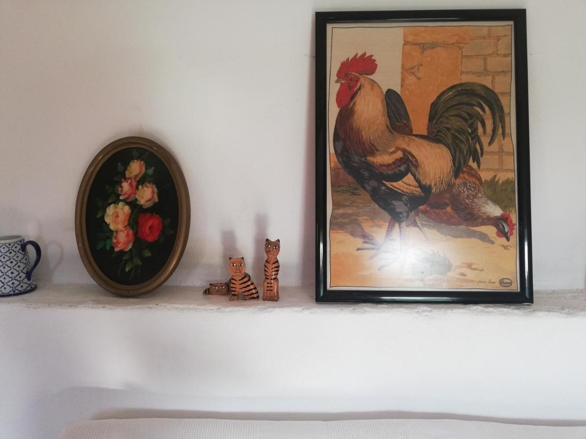 Country Side Loft Apartamento Valencia