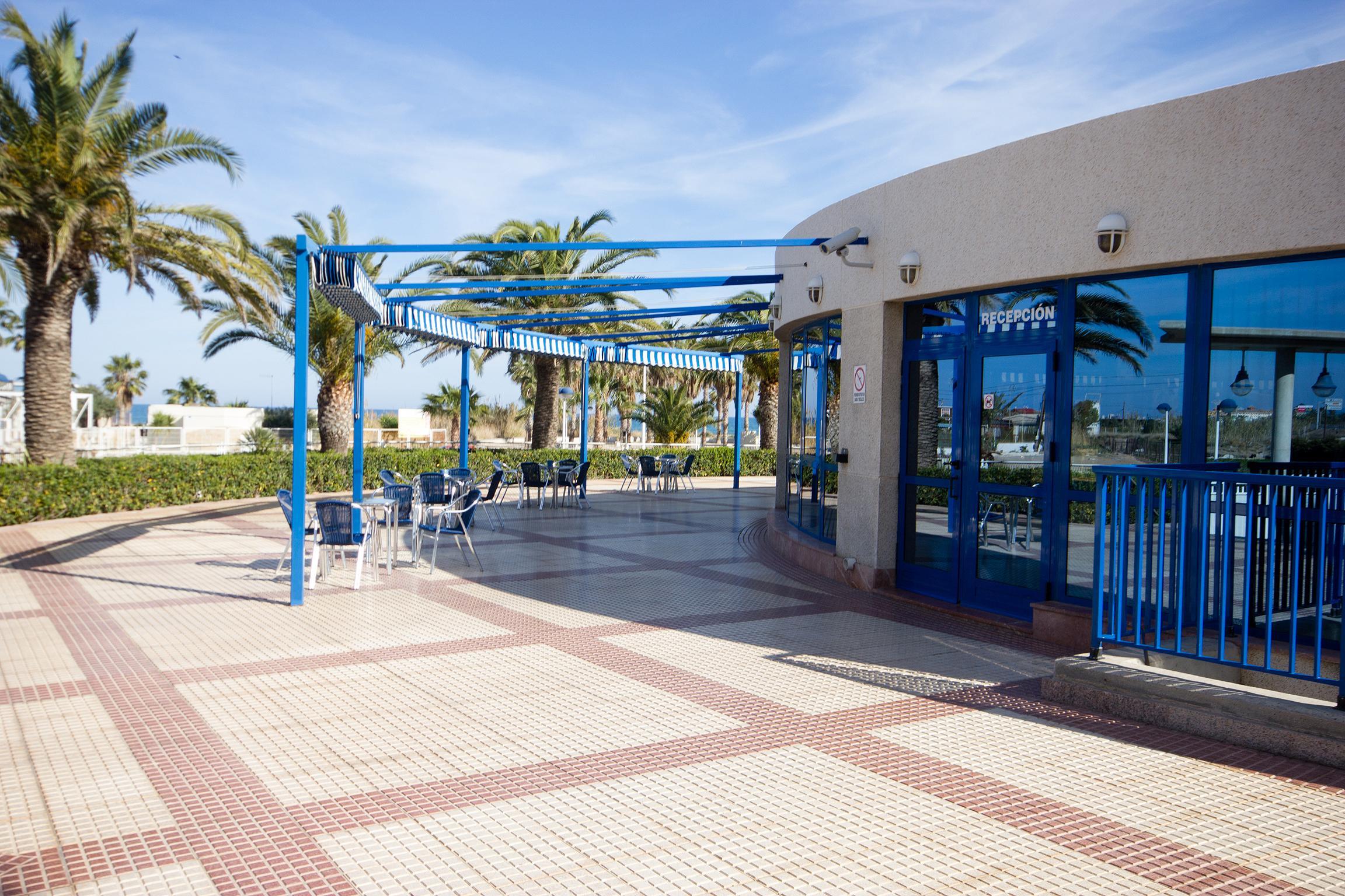 Patacona *