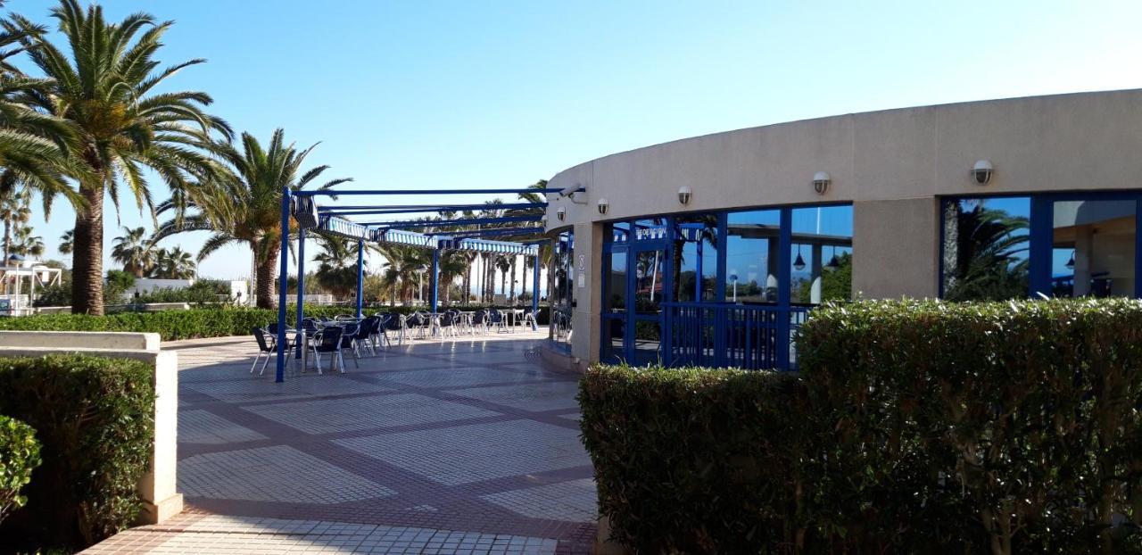 Patacona *