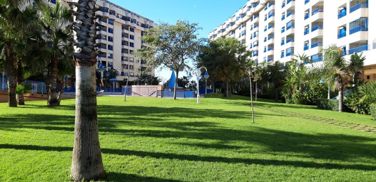 Apartamento Patacona *