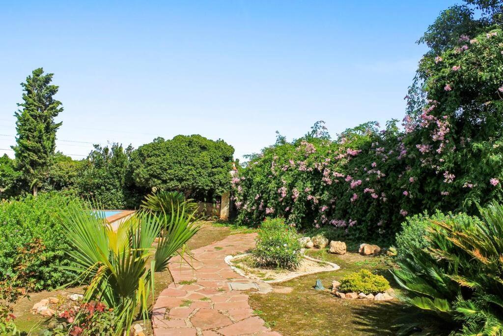 Huerto Valenciano - Sol Y Tranquilidad - Piscina *