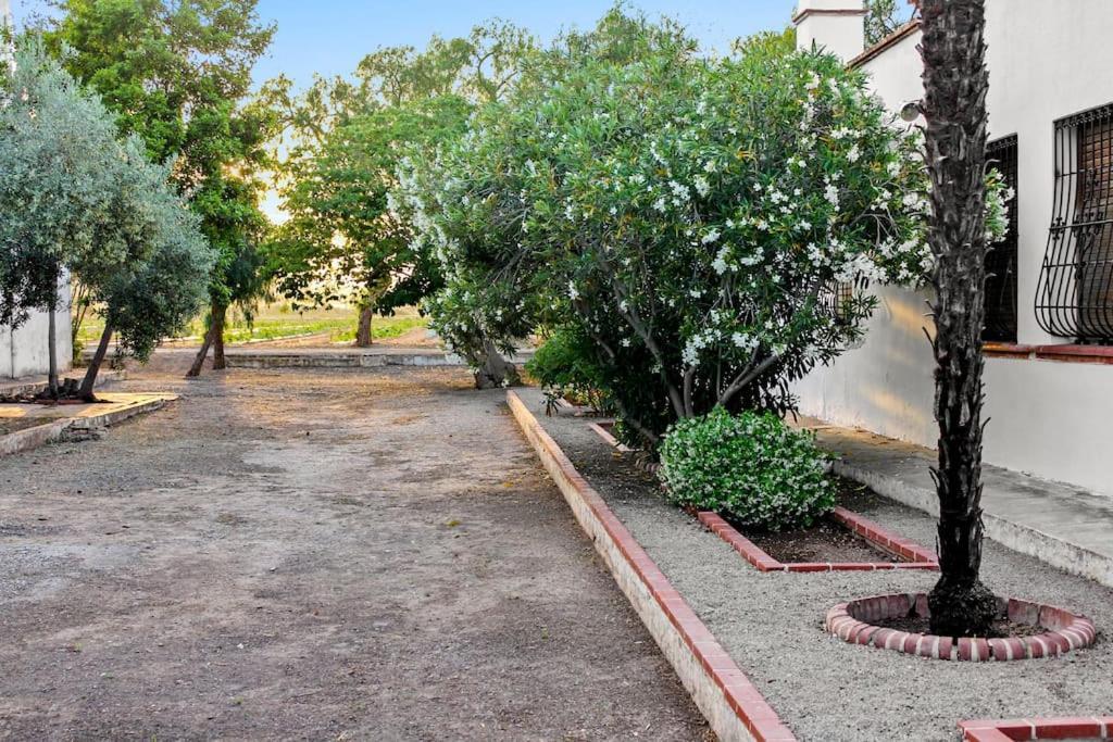 Сasa de vacaciones Huerto Valenciano - Sol Y Tranquilidad - Piscina *