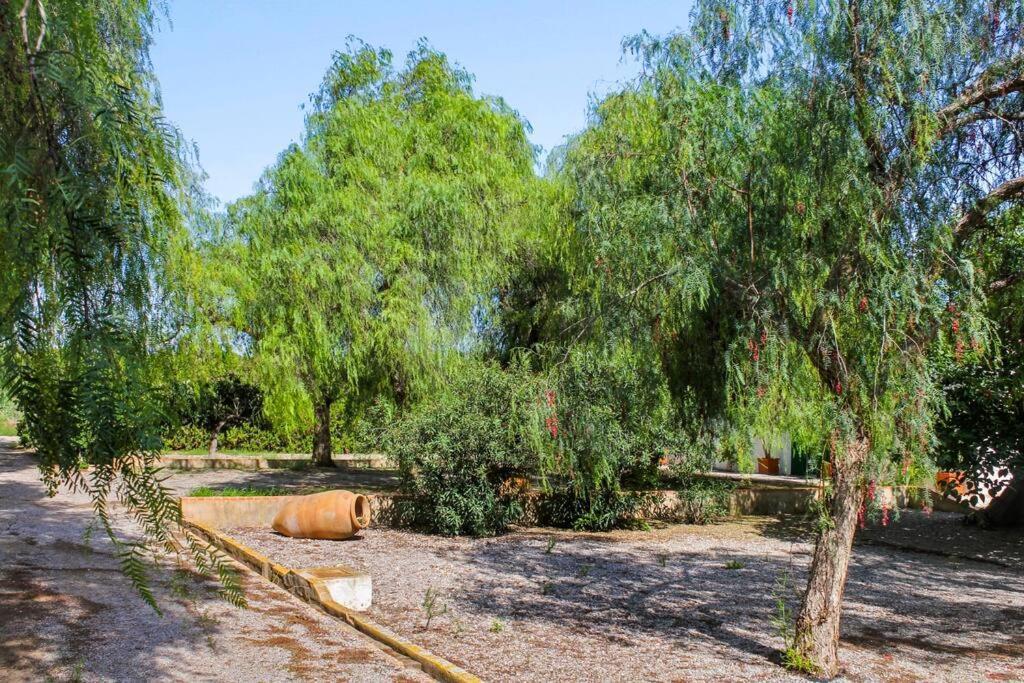 Huerto Valenciano - Sol Y Tranquilidad - Piscina Holiday home