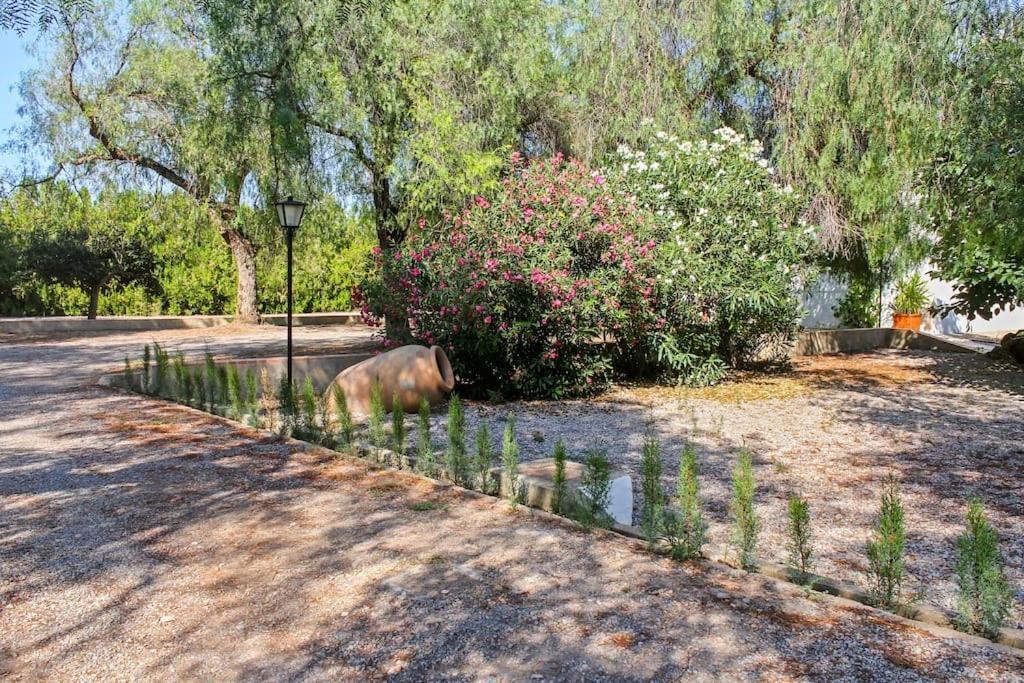 Holiday home Huerto Valenciano - Sol Y Tranquilidad - Piscina *