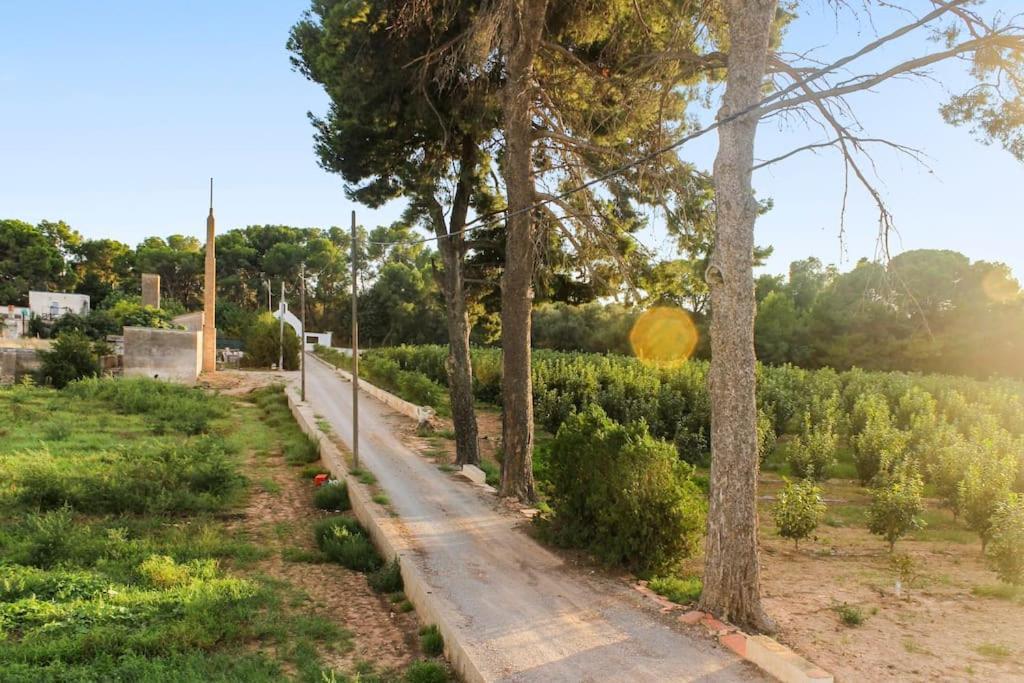 Huerto Valenciano - Sol Y Tranquilidad - Piscina Сasa de vacaciones