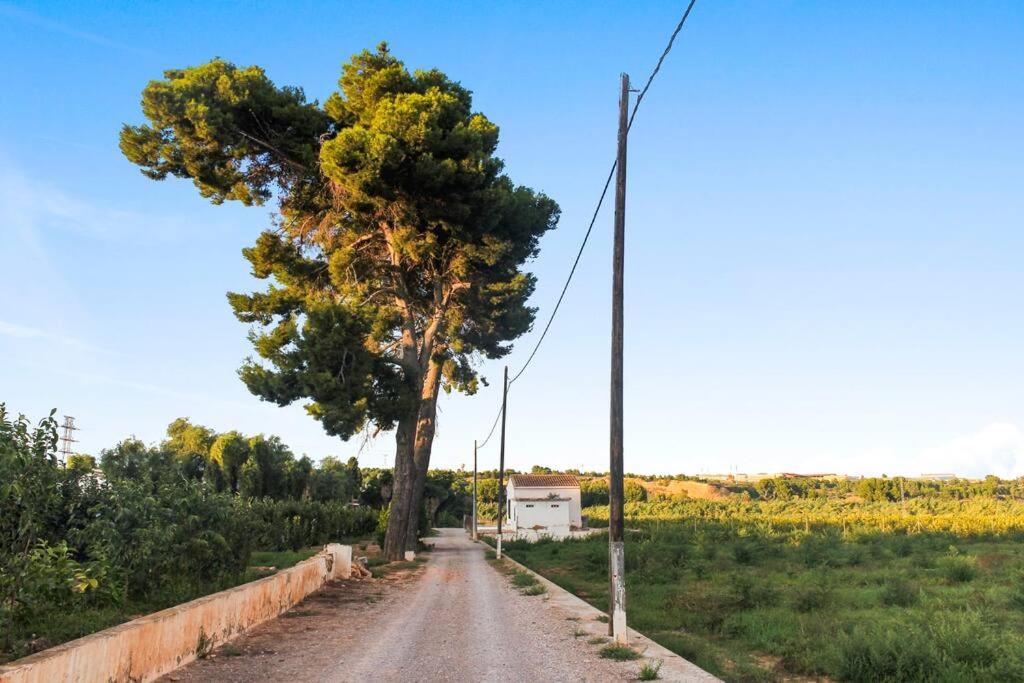 Huerto Valenciano - Sol Y Tranquilidad - Piscina Holiday home