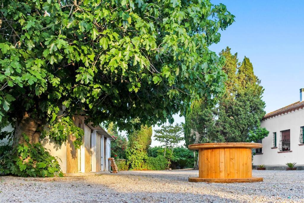 Сasa de vacaciones Huerto Valenciano - Sol Y Tranquilidad - Piscina